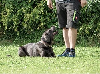 Tierbild_2 Tierbild_2