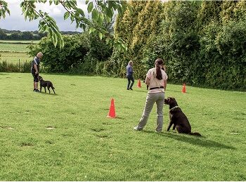 Tierbild_3 Tierbild_3