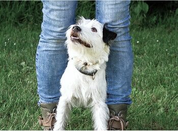 Tierbild_6 Tierbild_6